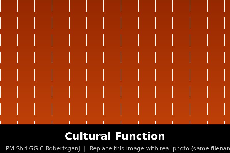 Cultural Function