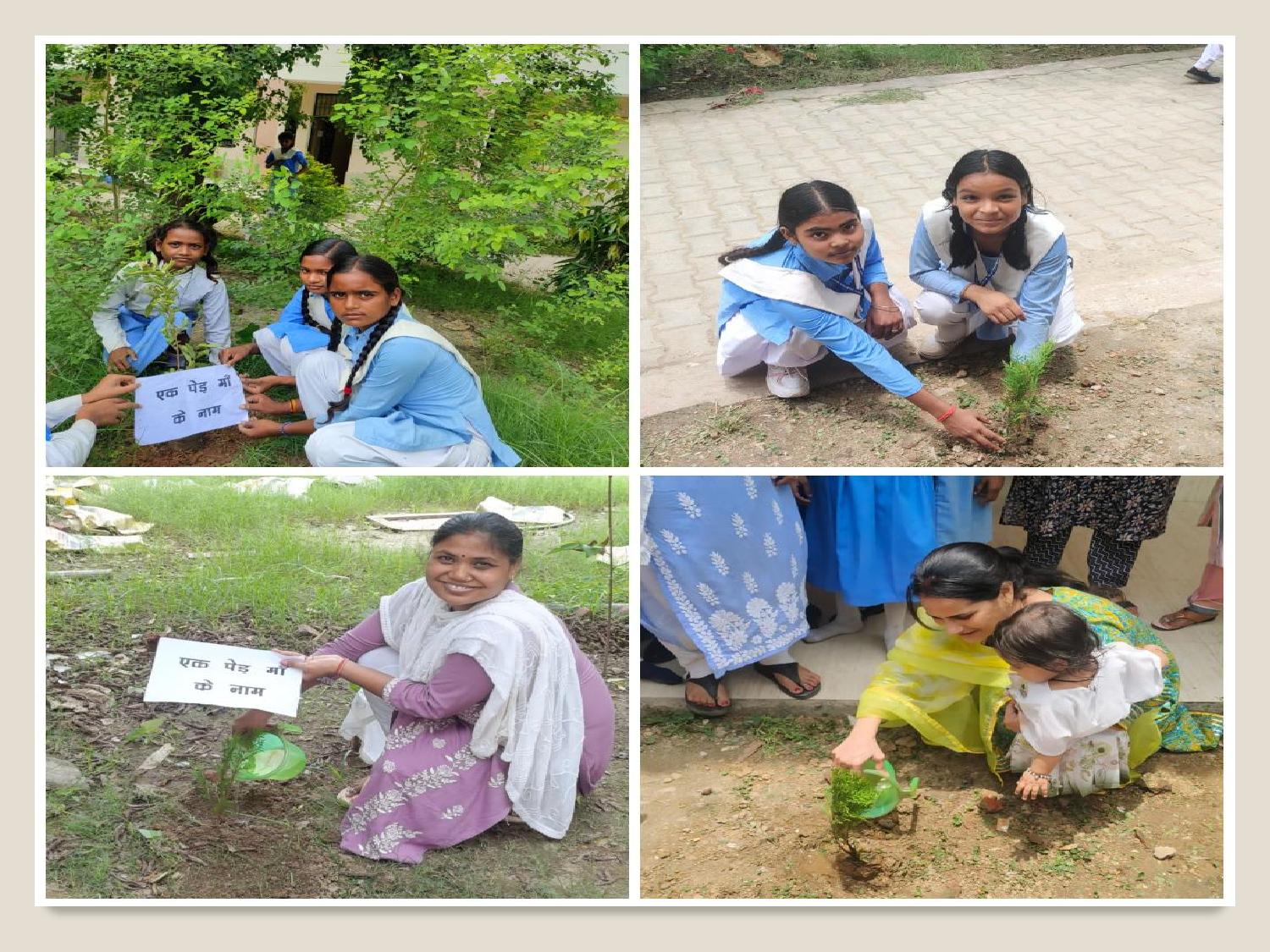 Tree Plantation